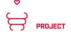 Safe Repair Project